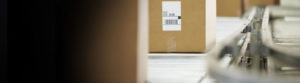 box labels on production line